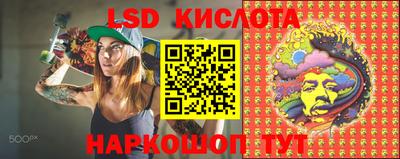 винт Канаш