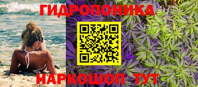 винт Канаш