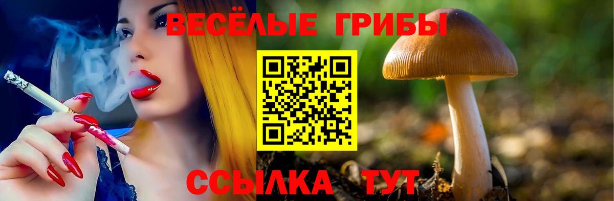 Галлюциногенные грибы Cubensis Котлас