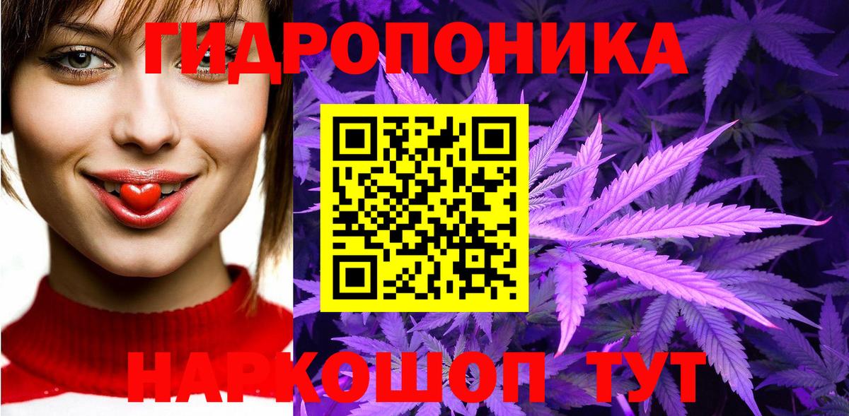 Шишки марихуана Amnesia Котлас